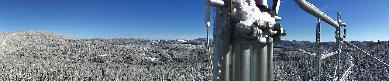 BEREV Sampling Snow Forest