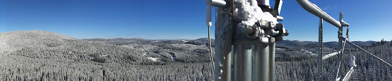BEREV Sampling Snow Forest