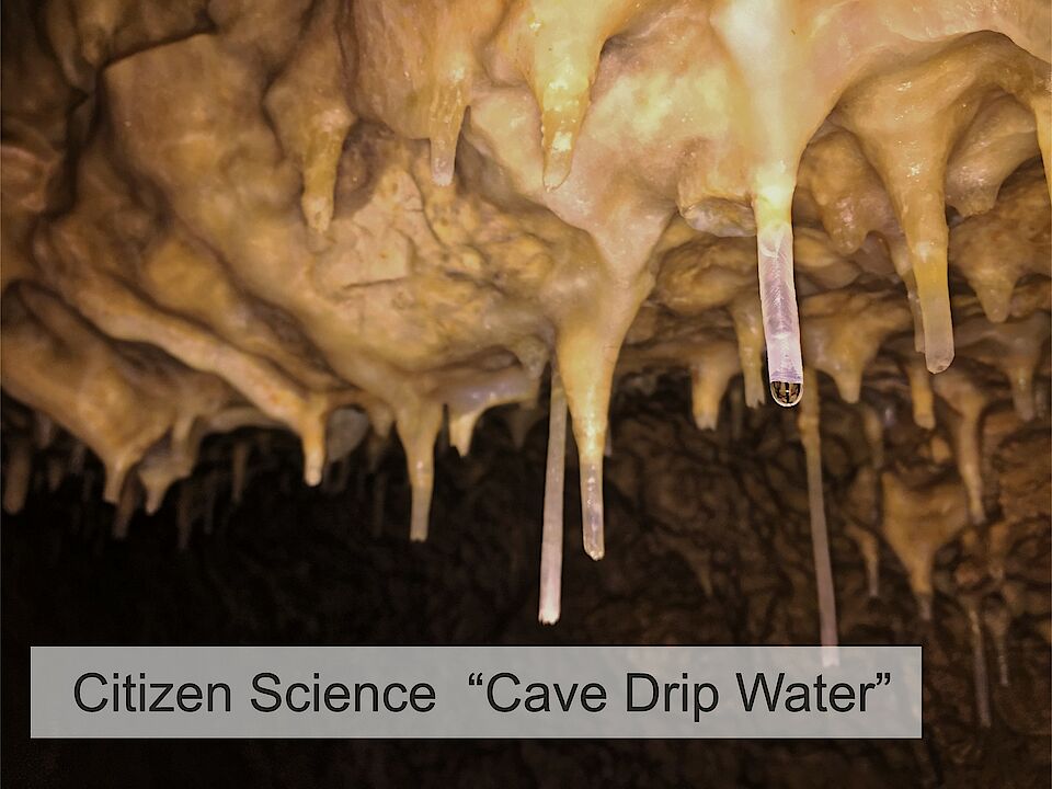 Cave Drip Water