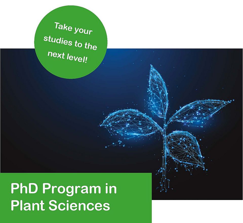 PhD Program in Plant Sciences