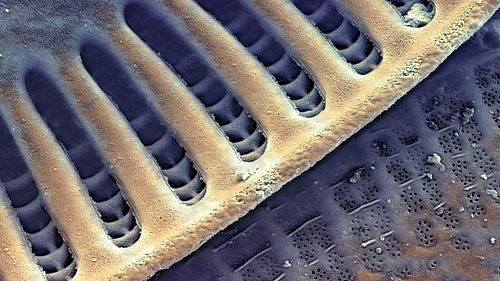 DIATOMS: Adaptive radiations and key evolutionary innovations