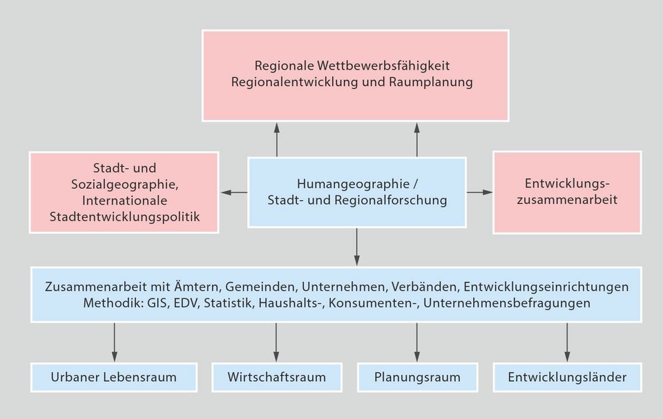 Arbeitsschwerpunkte