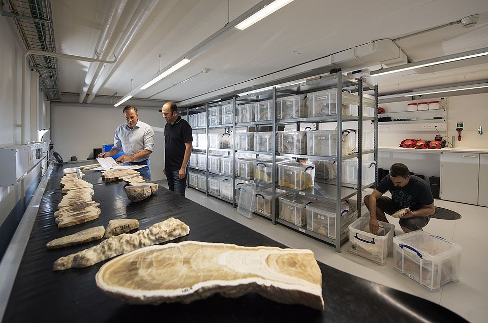All samples are archived in our speleothem archive, where sample slabs can be displayed and sorted for subsequent sampling. We also store and maintain our caving equipment in this room.