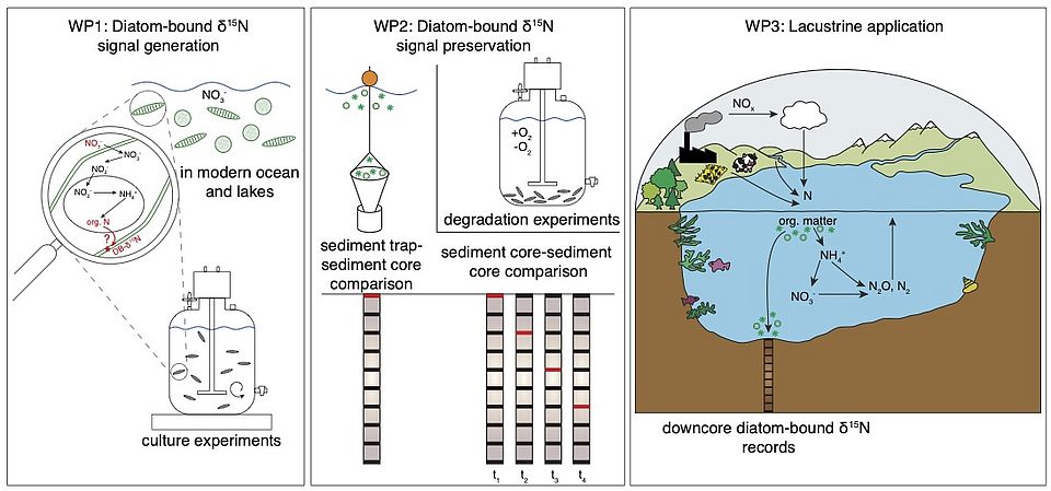 NISOPROX - Ground-truthing the diatom-bound nitrogen isotope proxy - A. Studer