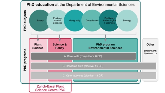 PhD Education at DUW
