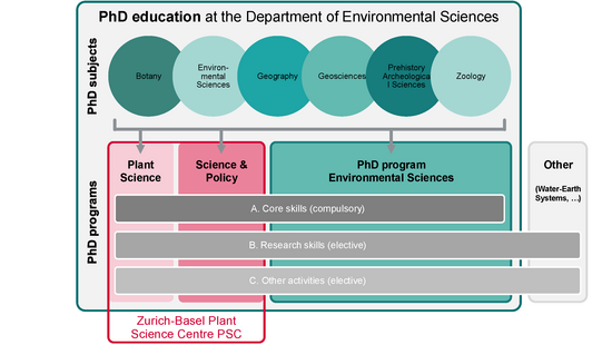 PhD Education at DUW