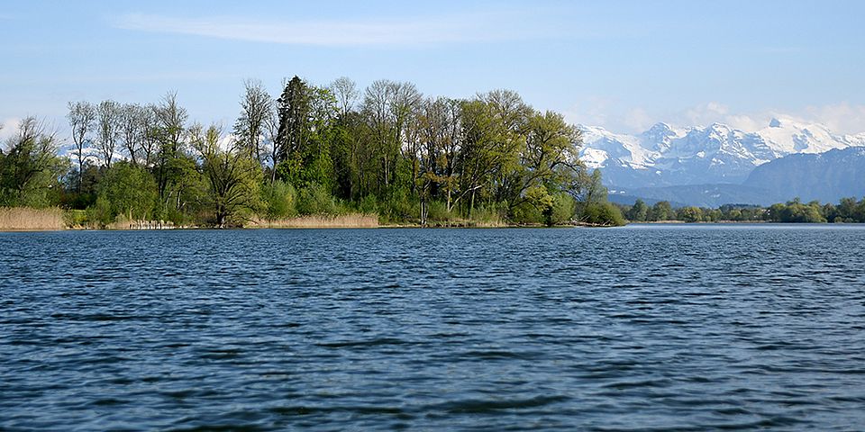 Baldeggersee