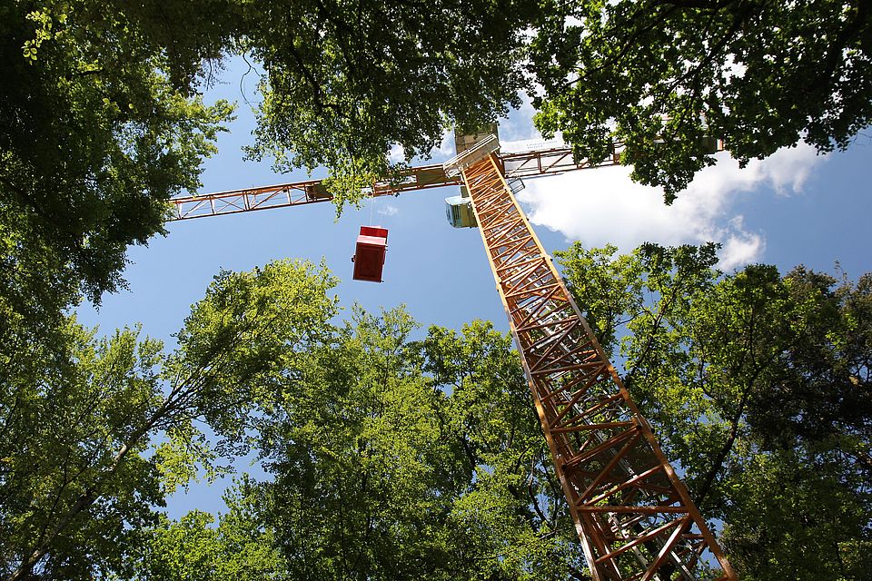 Swiss Canopy Crane