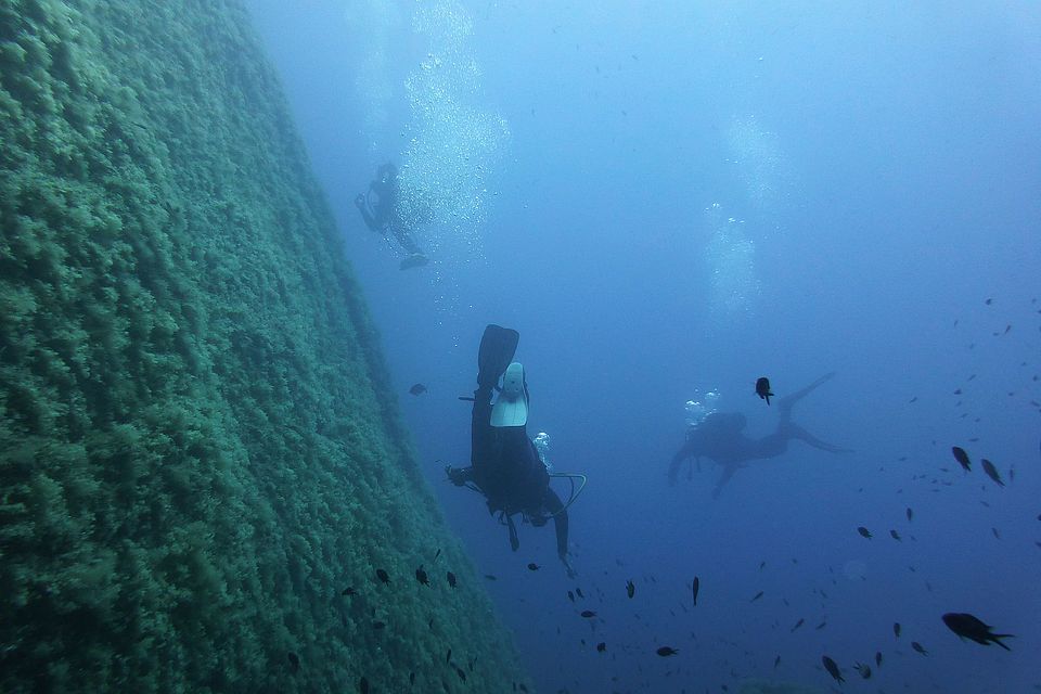 Elba 2017