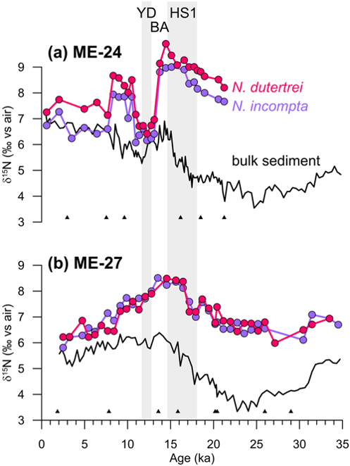 Ice Age-Holocene similarity of foraminifera-bound nitrogen isotope ratios in the eastern equatorial Pacific