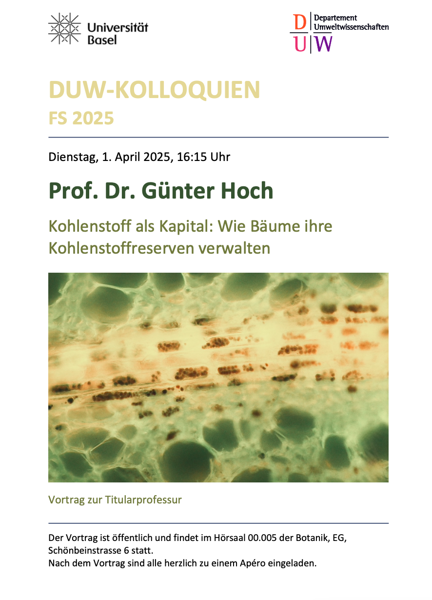 Kolloq Günter Hoch