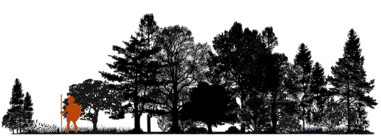 Trees